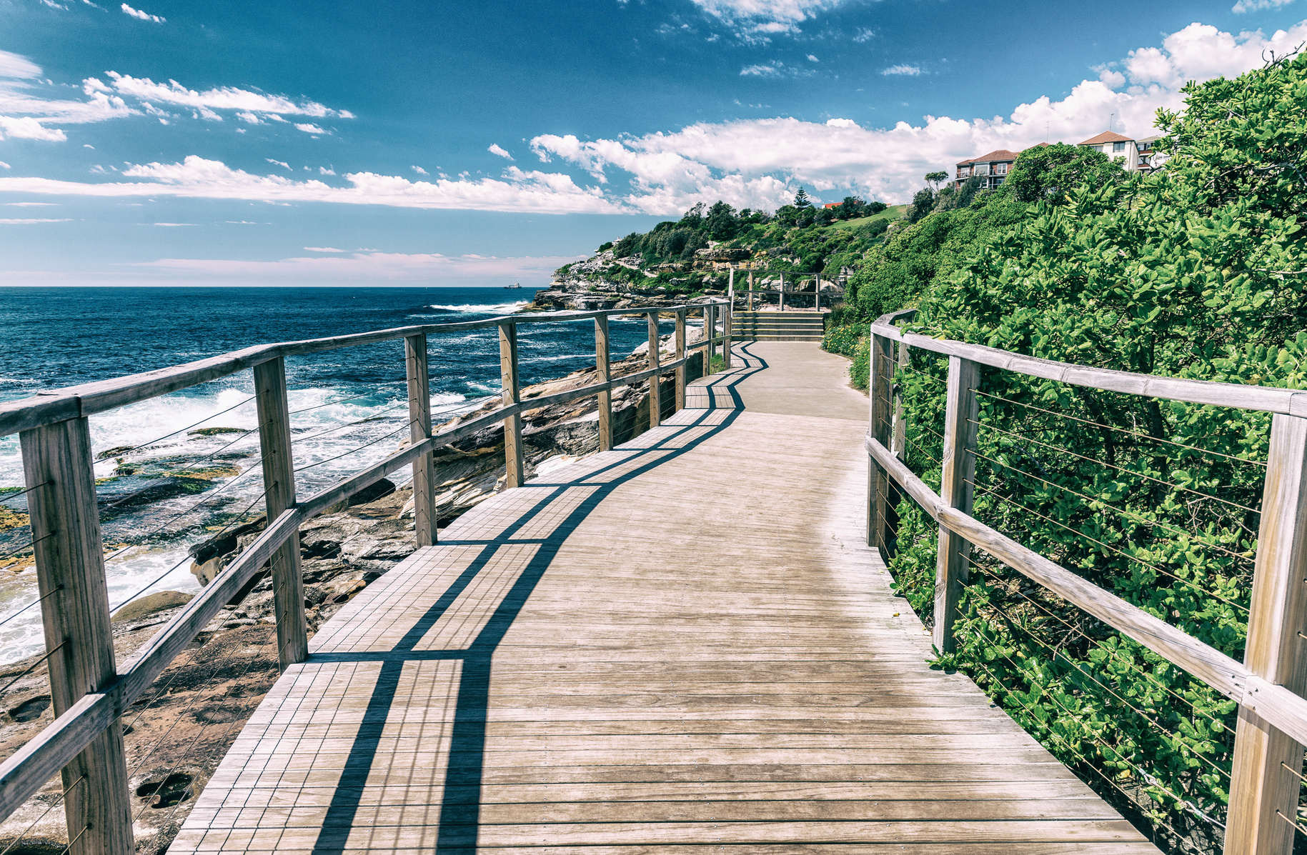 Bondi Beach Sydney Bridge