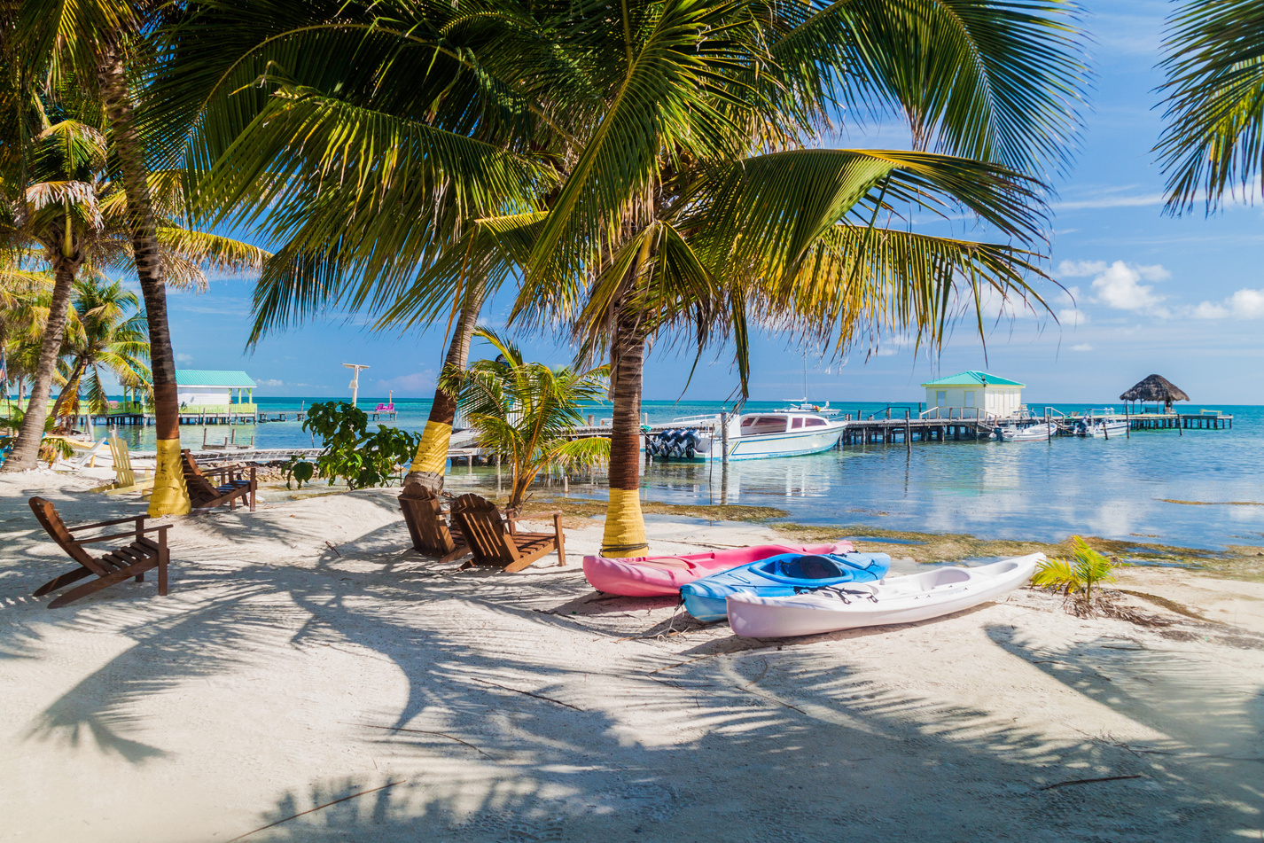 Palms and beach at Caye Caulker island, Beli