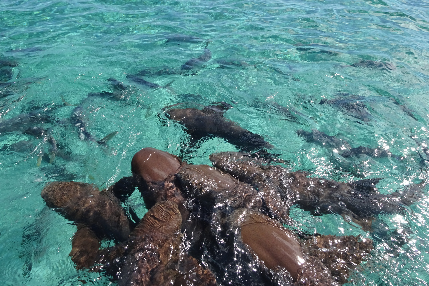 Caye Caulker, Belize.