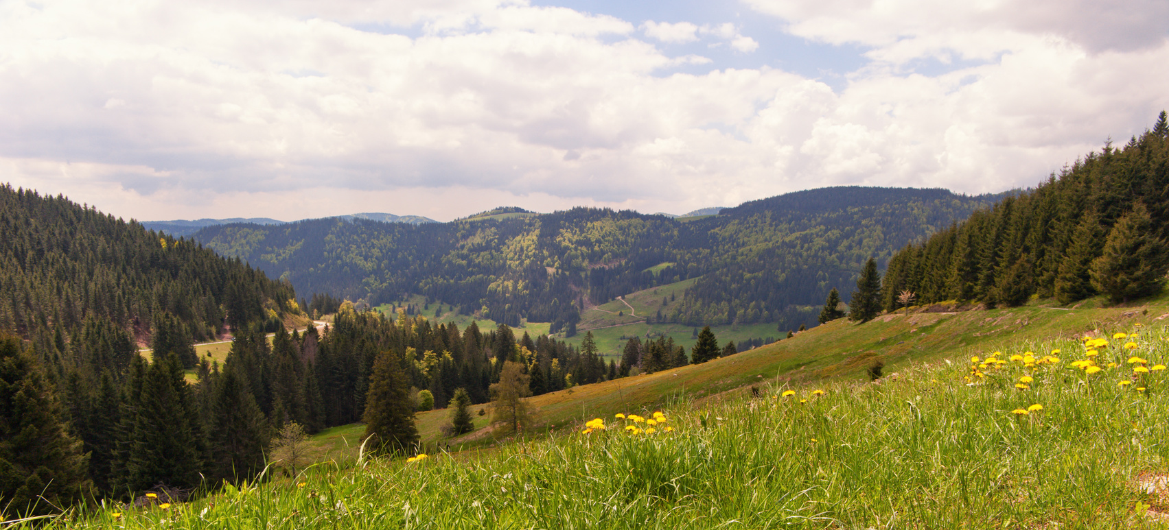 Black Forest (Germany)