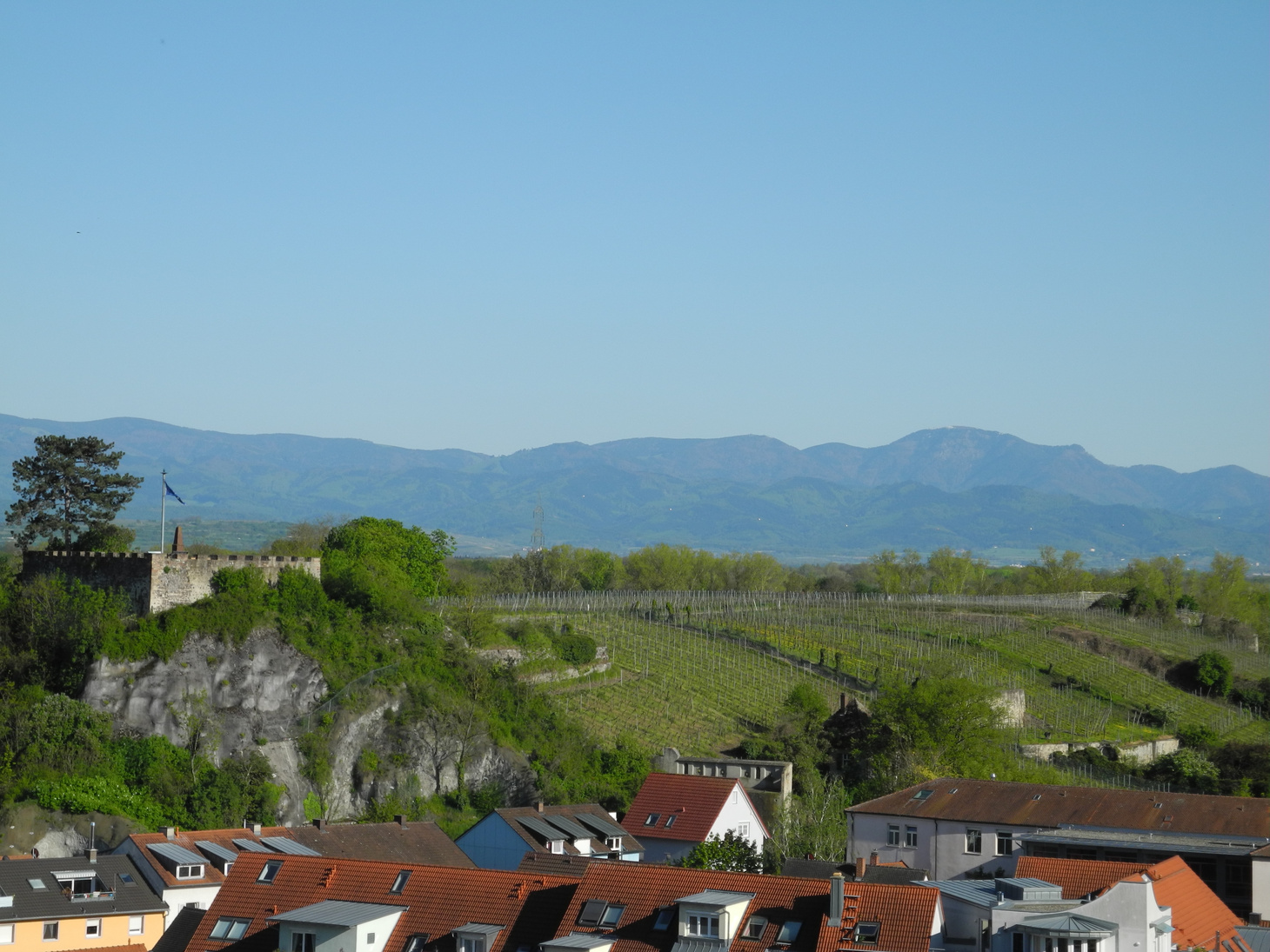 Eckartsberg in Breisach