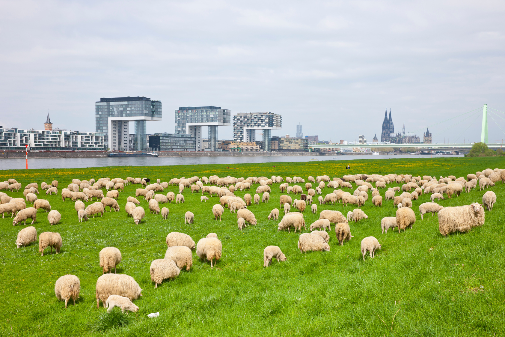 Cologne, Germany