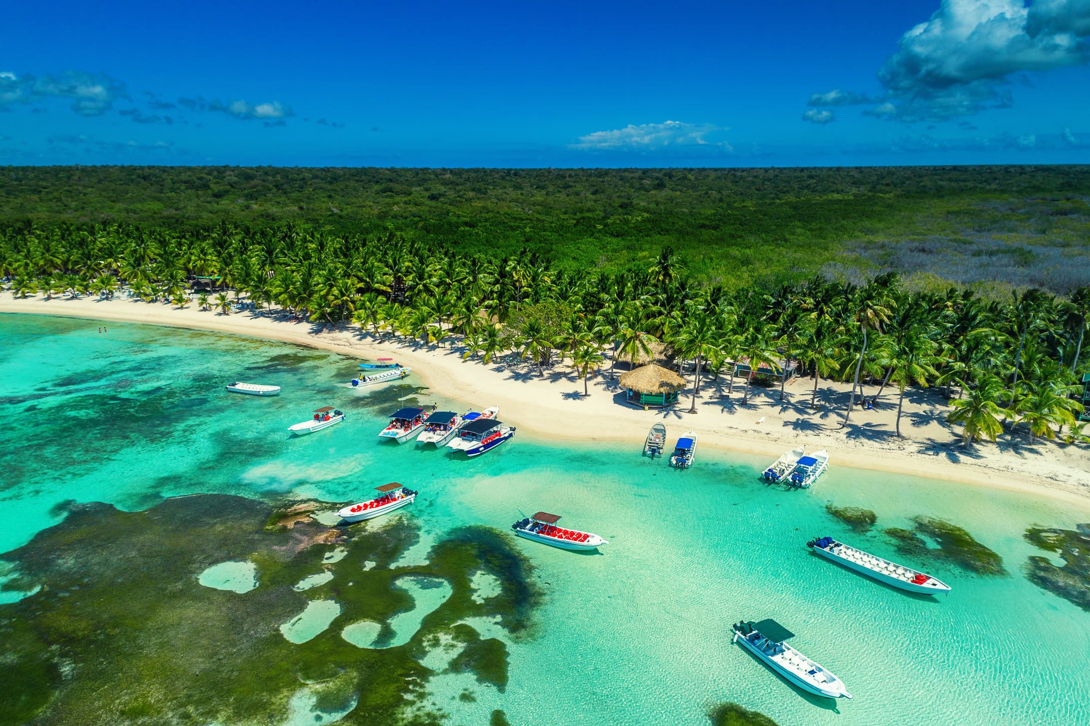 Aerial view of tropical island island beach, Dominican Republic