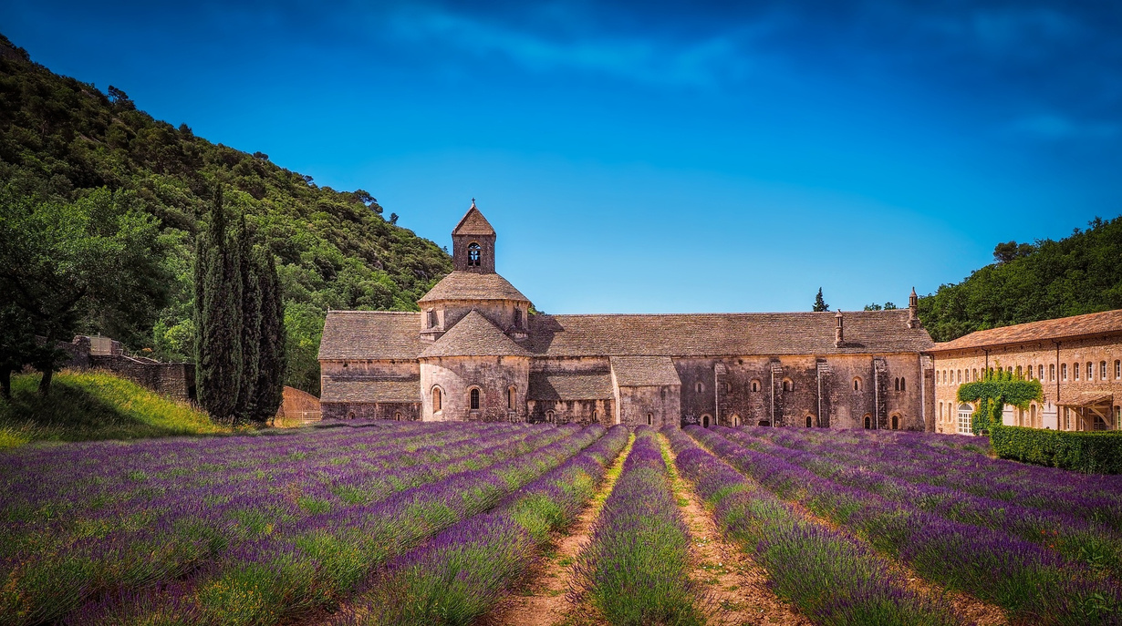 A Field and A Building