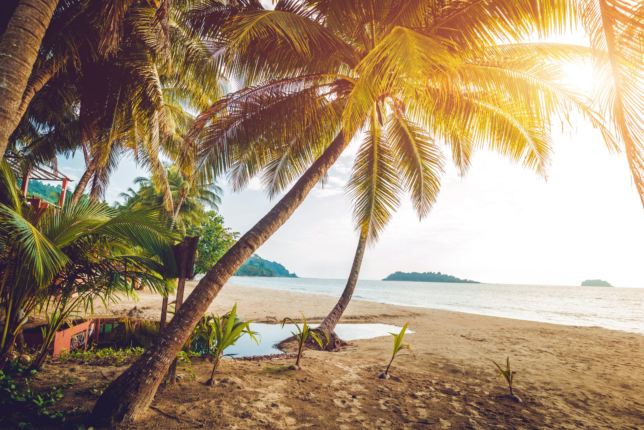 Beautiful tropical beach with palm trees. Daylight