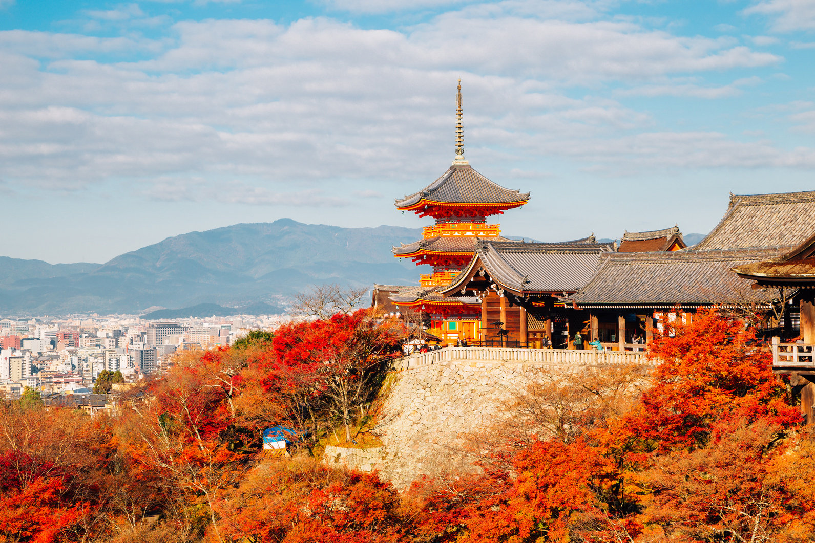 Kiyomizu-dera temple with autumn maple tree in Kyoto, Japan