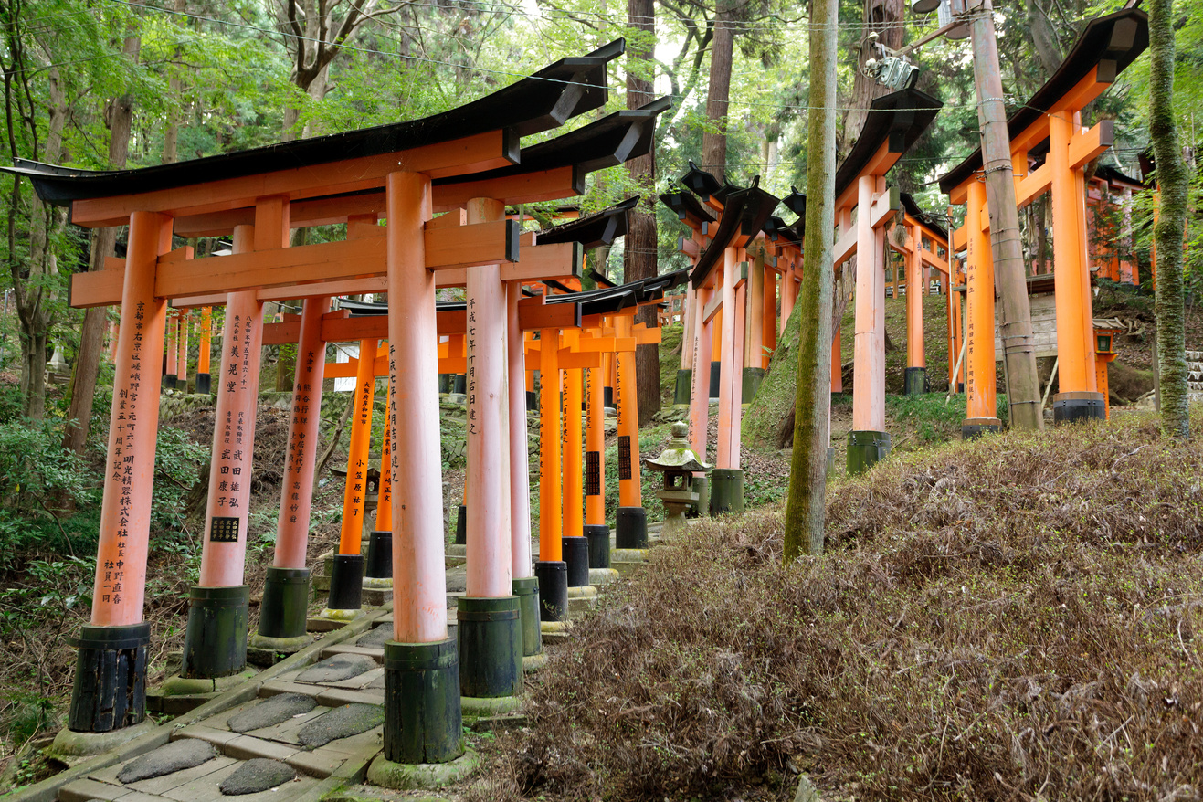 Fushimi Inari Shrine