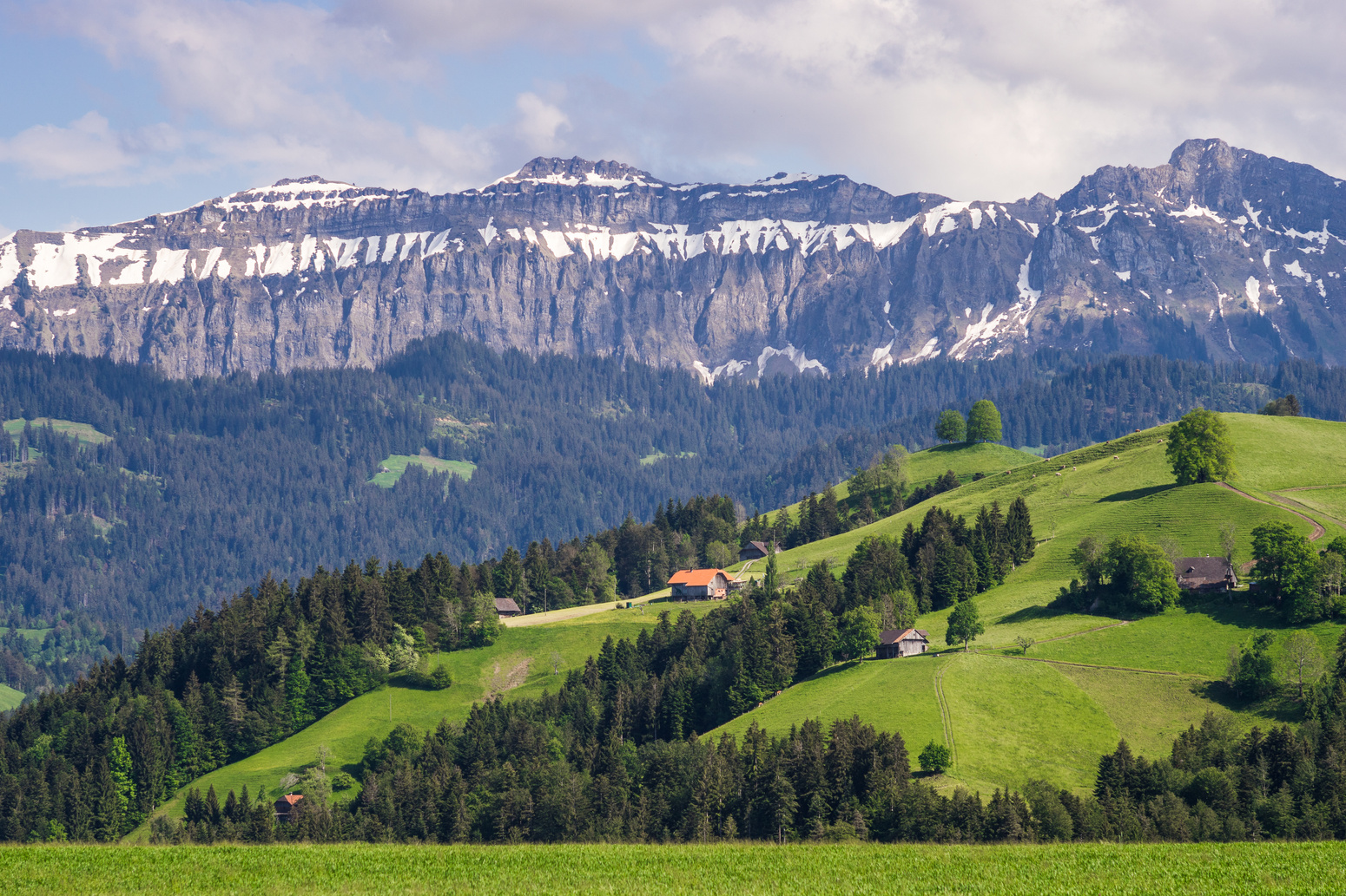 Summer landscape in Bernese Oberland region of Switzerland