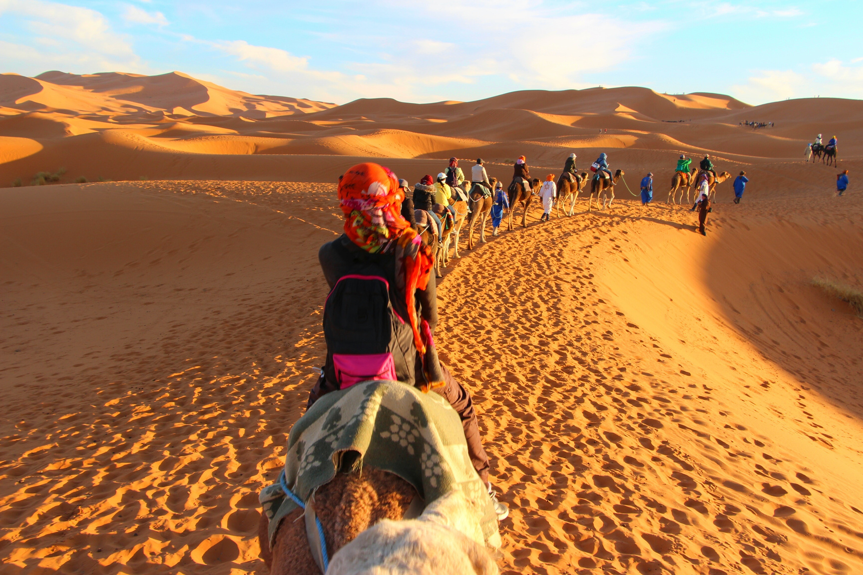 Camels on a Caravan in the Desert