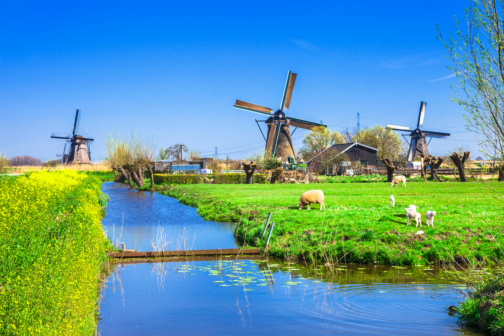 Kinderdijk,Netherlands.