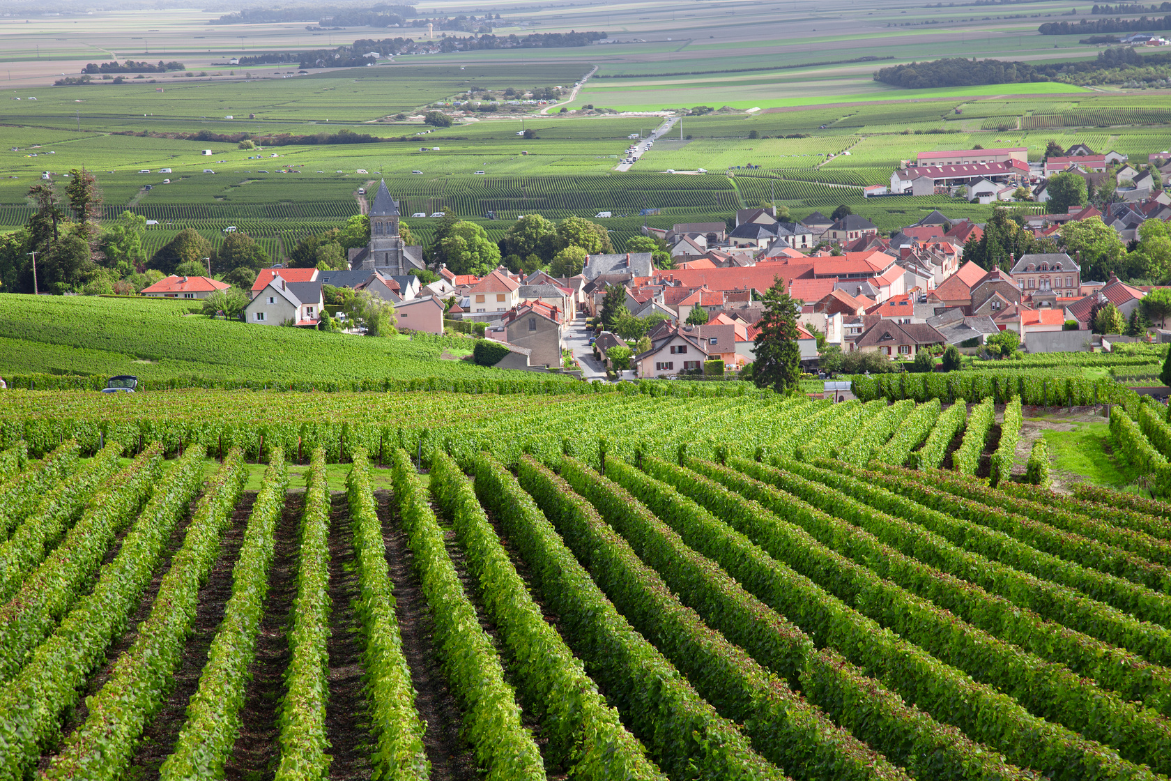 Burgundy region