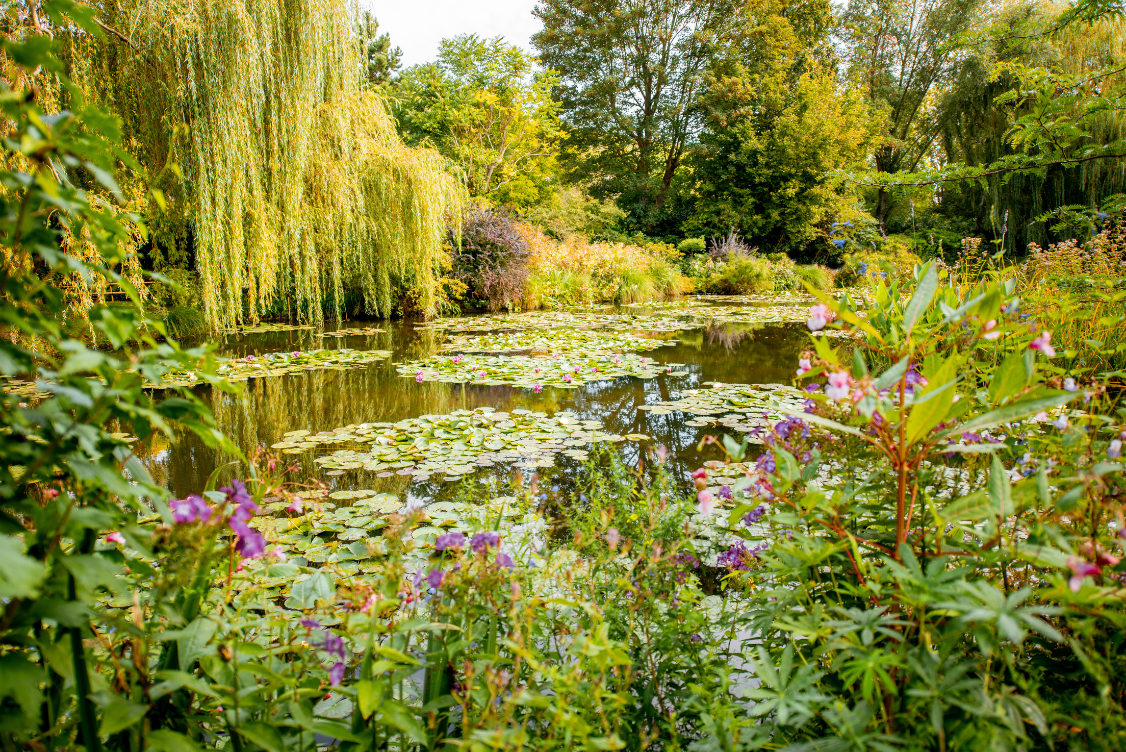 Claud Monet's Garden in Giverny