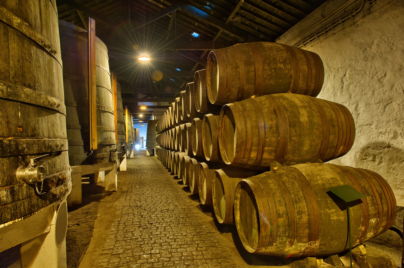 cave de Porto Portugal