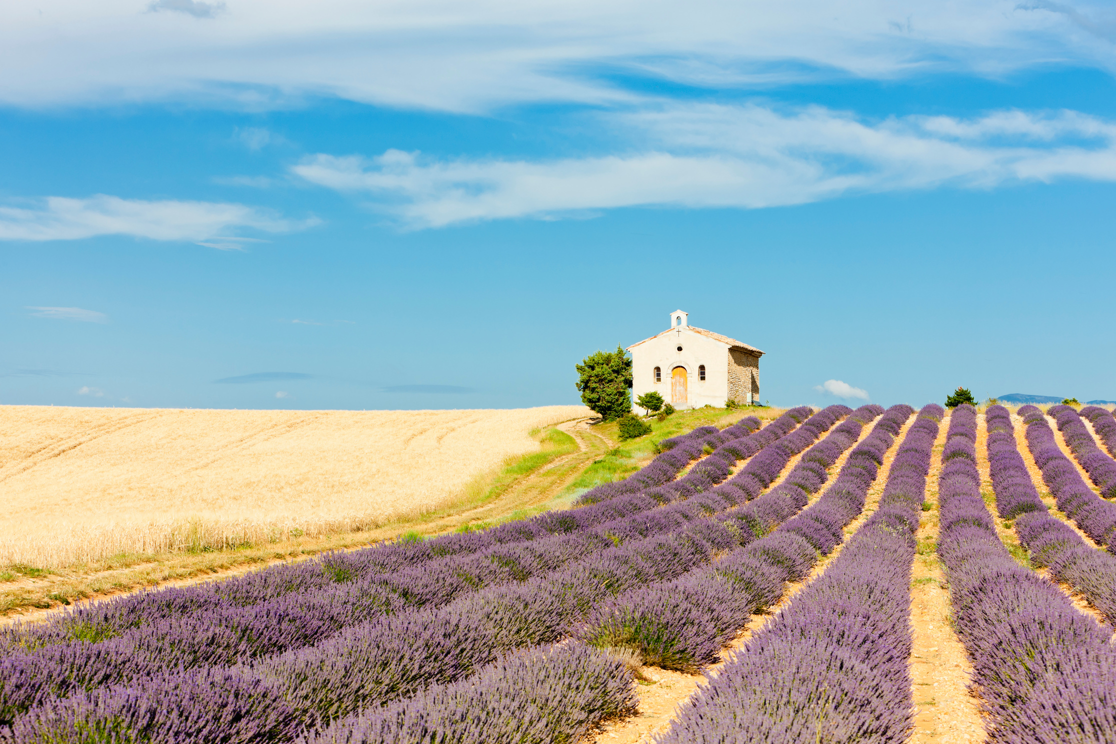 Provence