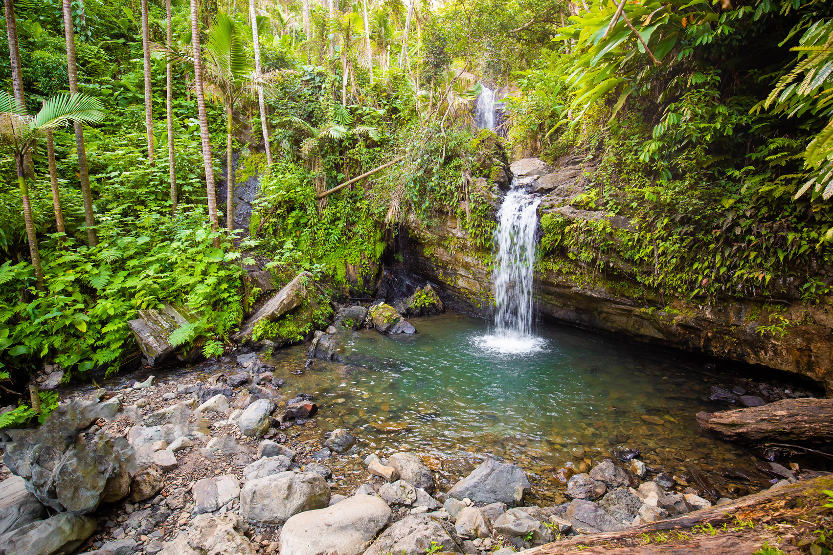 Juan Diego Falls at el Yunque rainforest Puerto Rico