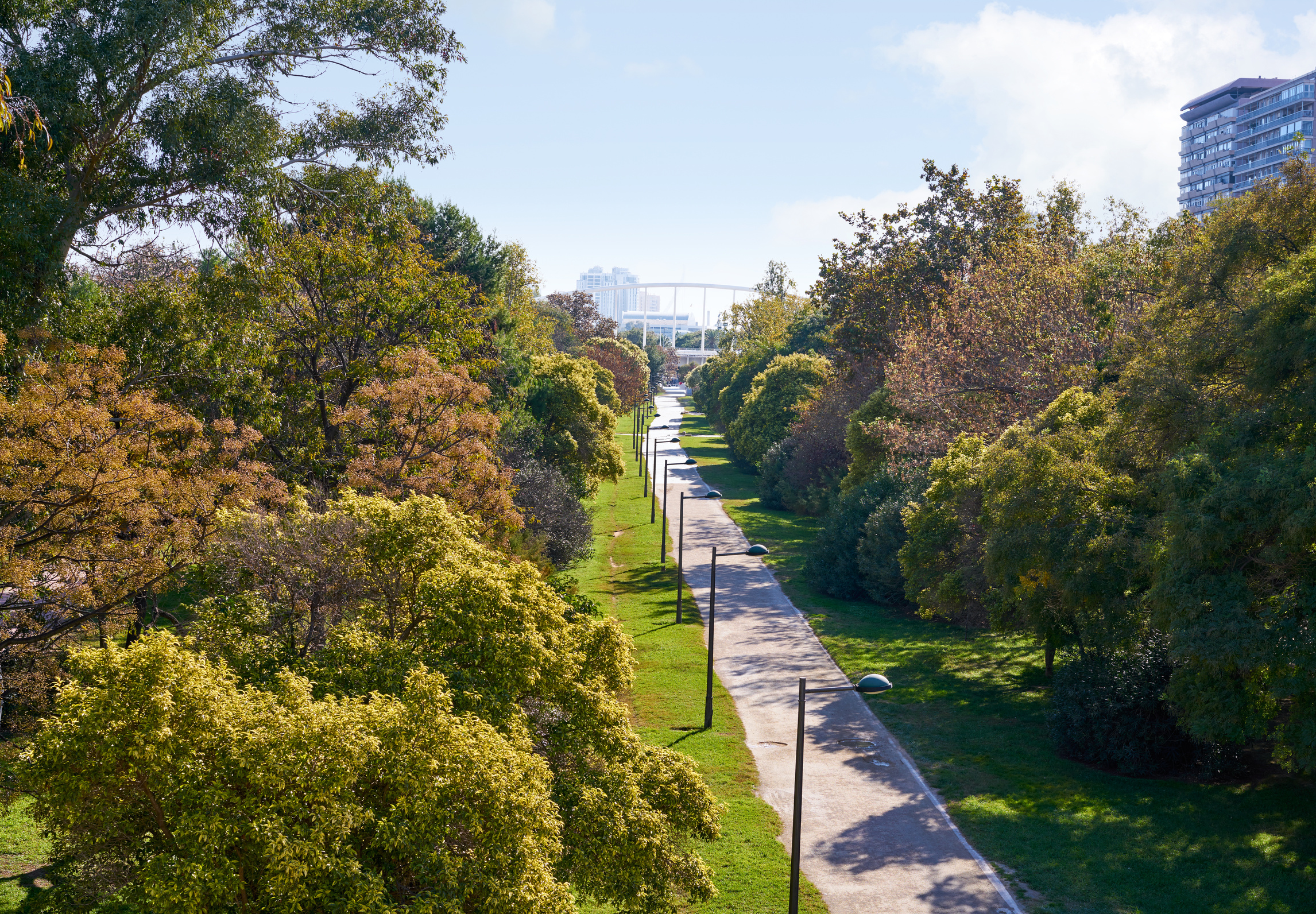 Valencia Turia Park Gardens View