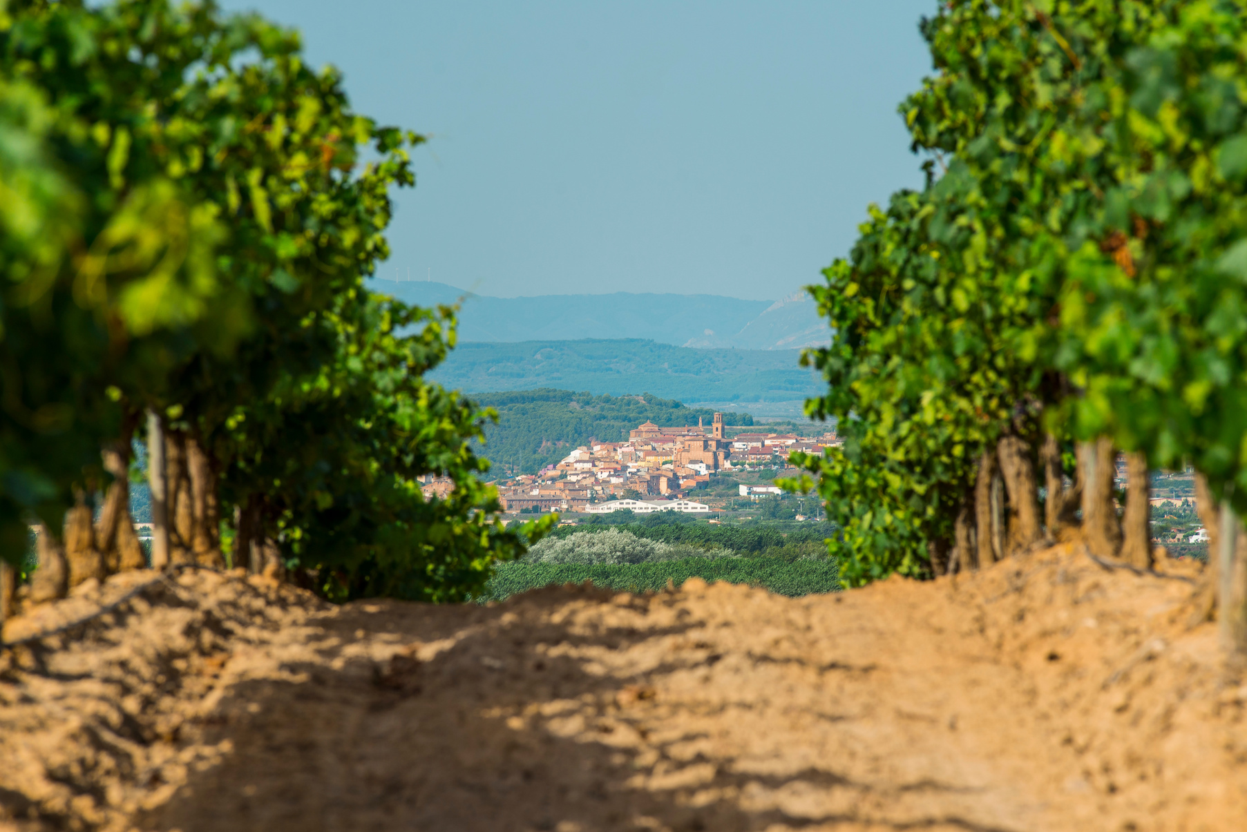 La Rioja, Spain